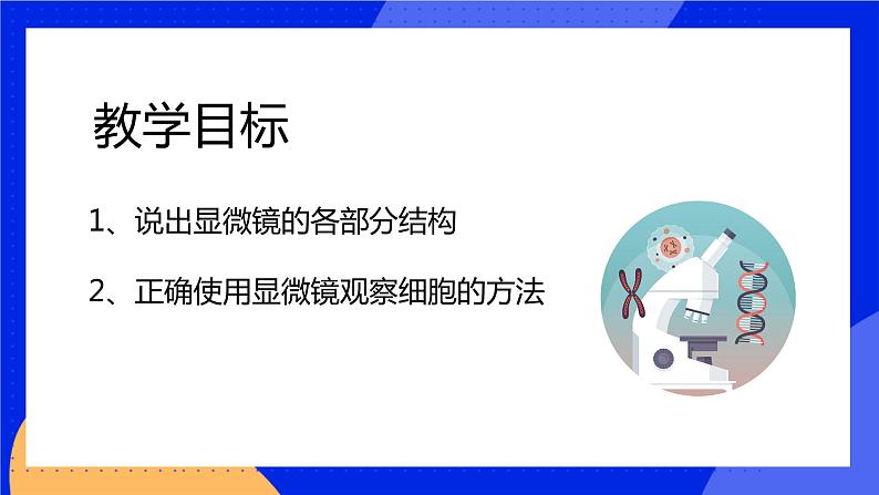 3.1.1 细胞的基本结构和功能 课件 北师大版七年级生物上册第2页