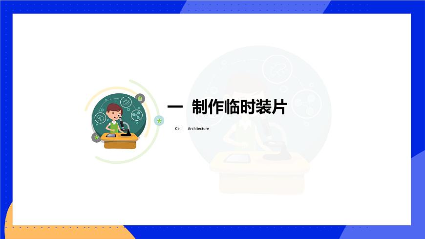 3.1.2 細(xì)胞的基本結(jié)構(gòu)和功能 課件 北師大版七年級生物上冊第3頁