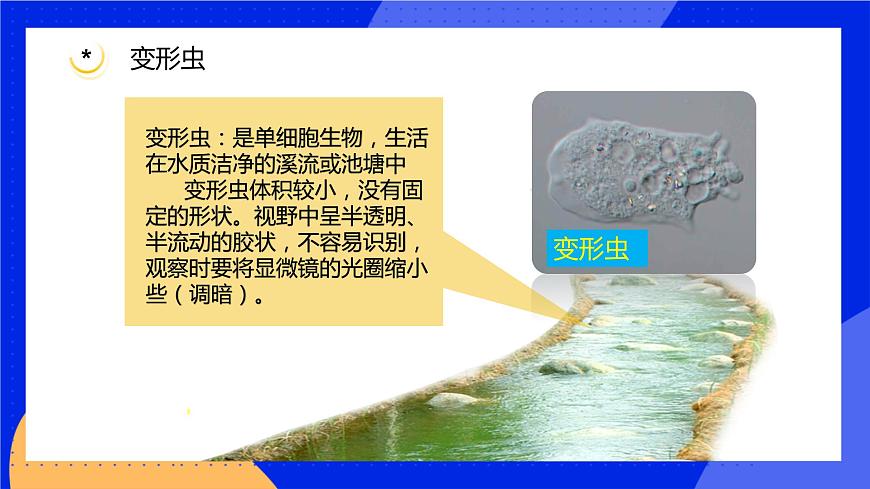 3.2 細胞是生命活動的單位 課件 北師大版七年級生物上冊第4頁