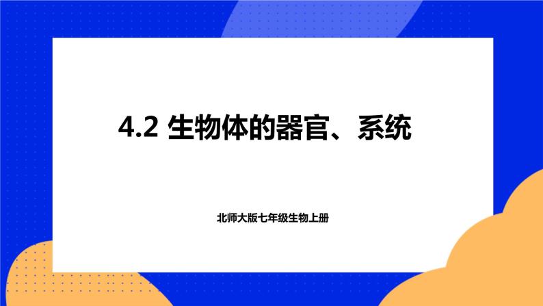 4.2 生物体的器官、系统 课件 北师大版七年级生物上册01