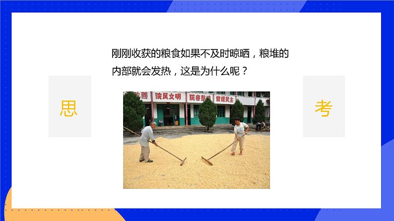 5.2 呼吸作用 课件 北师大版七年级生物上册第2页