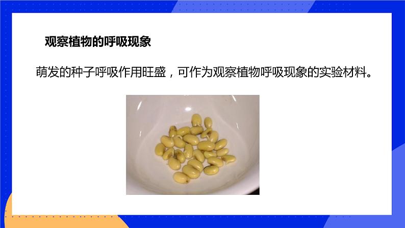 5.2 呼吸作用 课件 北师大版七年级生物上册第6页