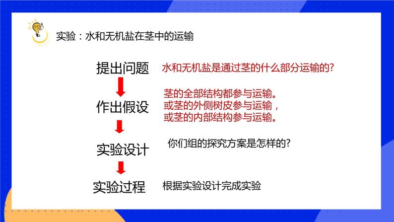 5.5 运输作用 课件 北师大版七年级生物上册05