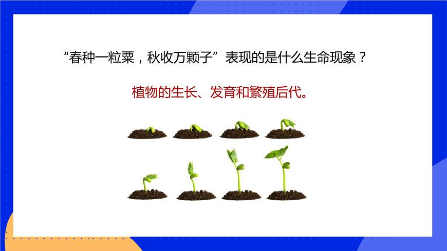 6.1 種子萌發(fā)形成幼苗 課件 北師大版七年級生物上冊第2頁