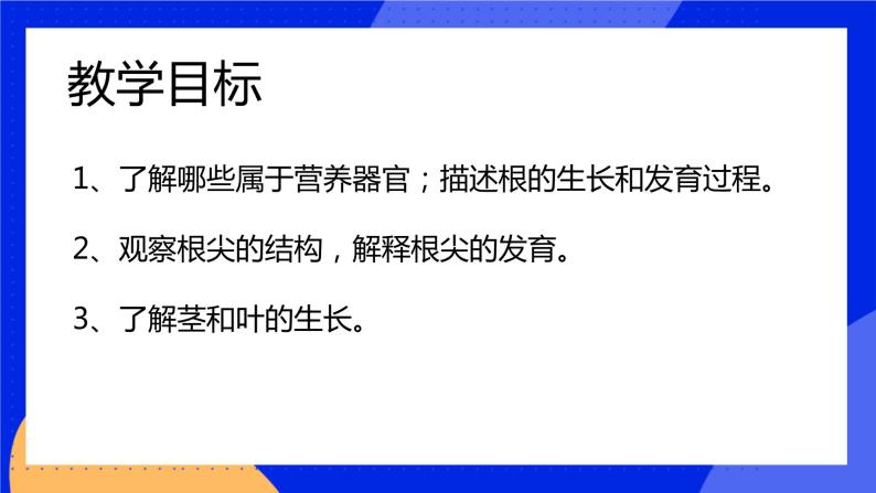 6.2 营养器官的生长 课件 北师大版七年级生物上册02