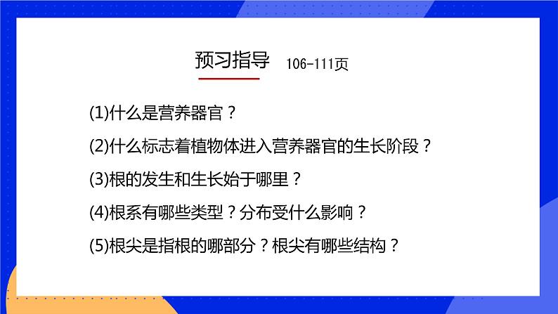 6.2 营养器官的生长 课件 北师大版七年级生物上册第3页
