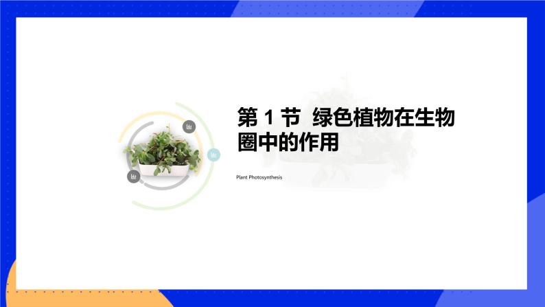 7.1 绿色植物与生物圈 课件 北师大版七年级生物上册02