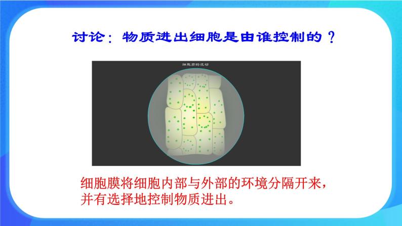 3.2 细胞是生命活动的基本单位 课件+练习+素材 北师大版七年级生物上册07