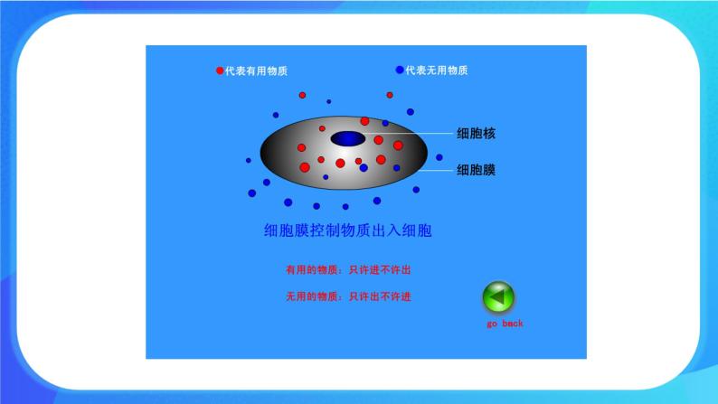 3.2 细胞是生命活动的基本单位 课件+练习+素材 北师大版七年级生物上册08