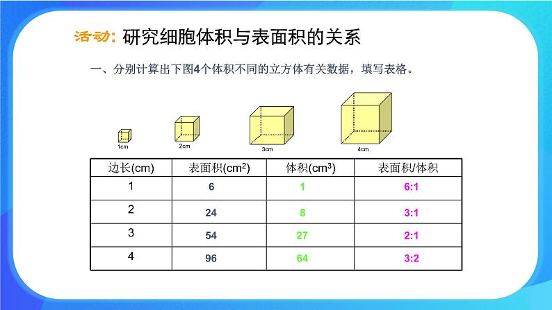 3.3 细胞通过分裂而增殖 课件 北师大版七年级生物上册第5页
