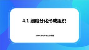 初中生物北师大版七年级上册第1节 细胞分化形成组织精品ppt课件