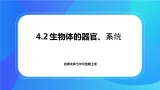 4.2 生物体的器官、系统 課件+練習+素材 北师大版七年级生物上册