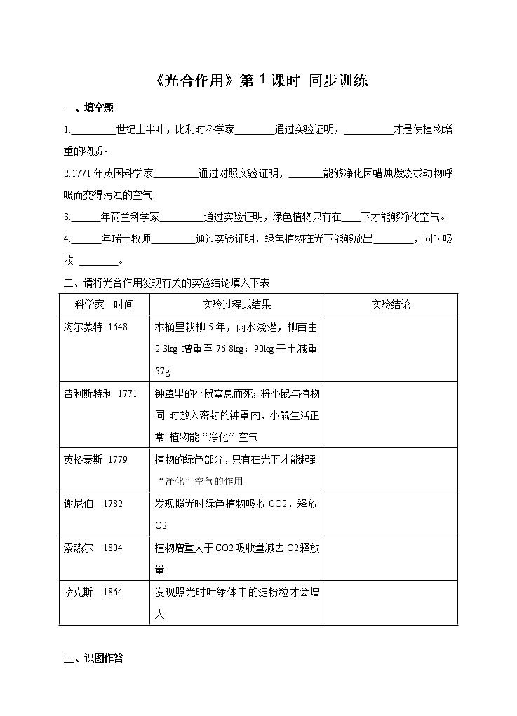 5.1.1 光合作用 课件+练习+素材 北师大版七年级生物上册01