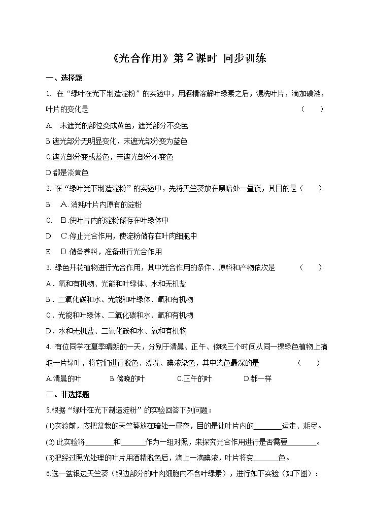 5.1.2 光合作用 课件+练习+素材 北师大版七年级生物上册01