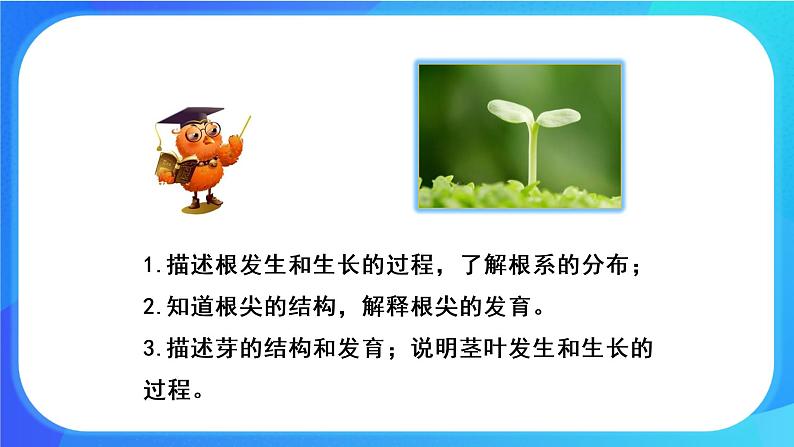 6.2 营养器官的生长 课件 北师大版七年级生物上册第2页