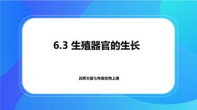 北师大版七年级上册第3节  生殖器官的生长优秀课件ppt