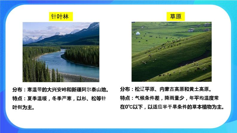 7.2 我国的植物资源 课件+练习+素材 北师大版七年级生物上册08