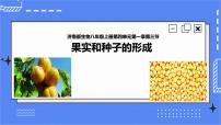 初中生物济南版八年级上册第三节 果实与种子的形成优质课课件ppt