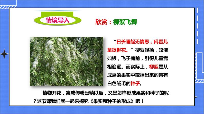第三节《果实和种子的形成》(课件)第2页