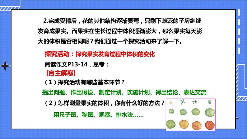 第三节《果实和种子的形成》(课件)第4页