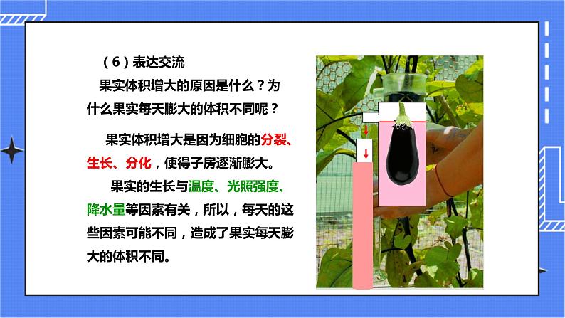 第三节《果实和种子的形成》(课件)第8页