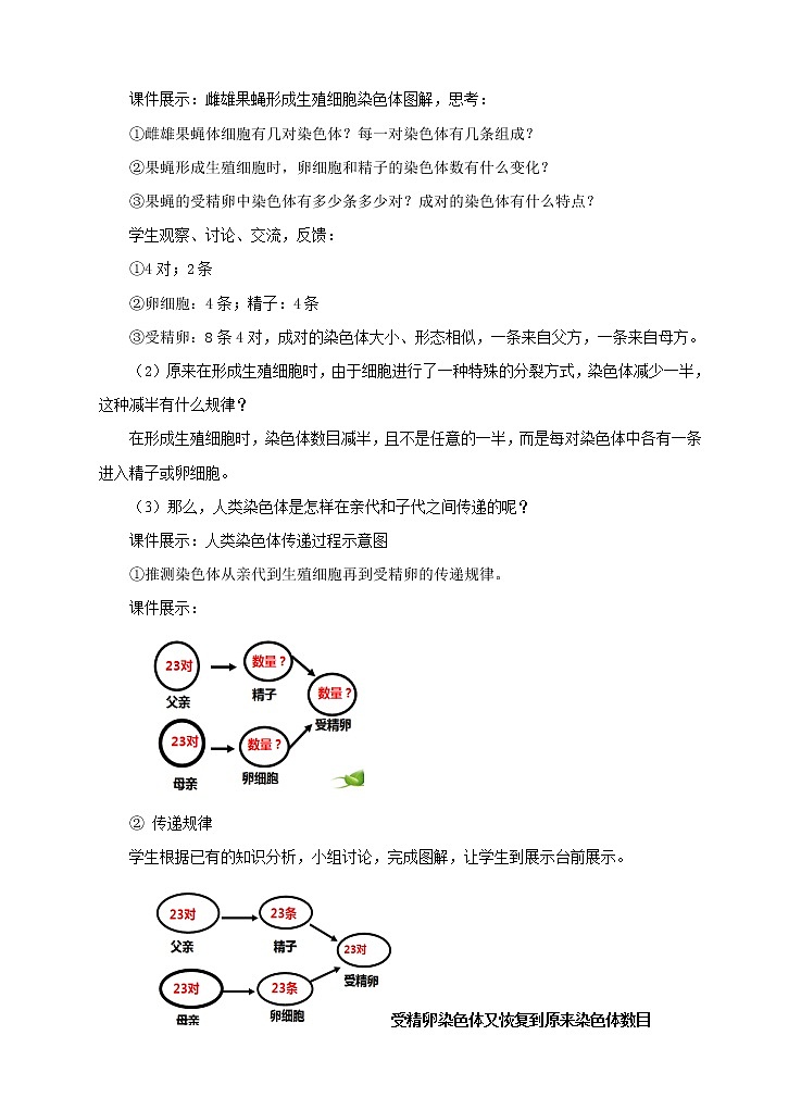 第三节《人类染色体与性别决定》教案第3页