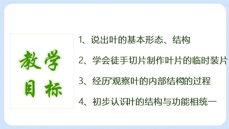 4.1《植物——制作并观察叶片的装片》(实验) 课件02