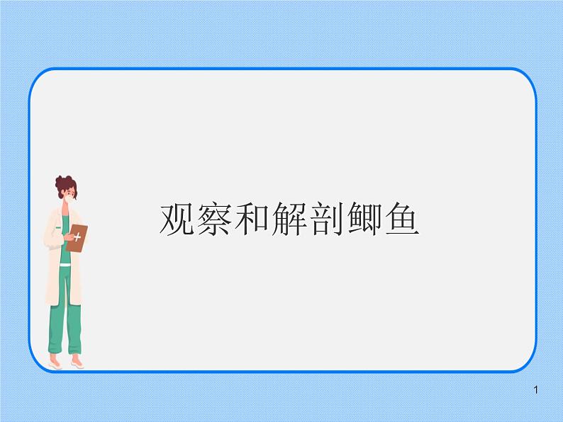4.2《 动物——观察和解剖鲫鱼》(实验) 课件01