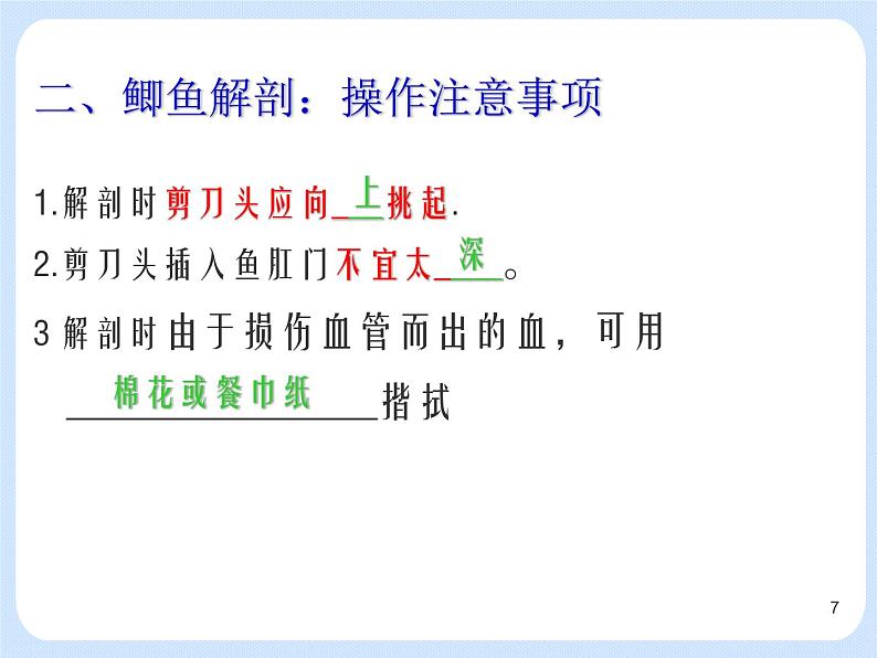 4.2《 动物——观察和解剖鲫鱼》(实验) 课件07