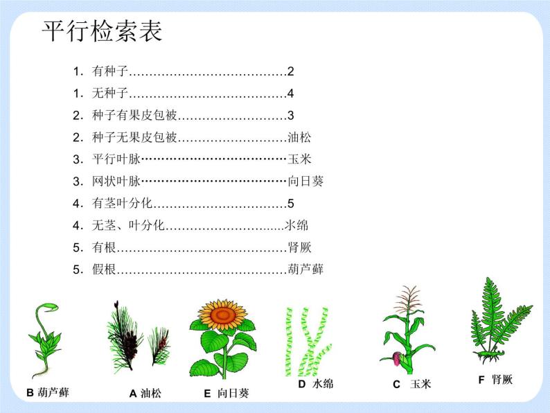 4.4《 生物的分类——分类检索表》 课件08