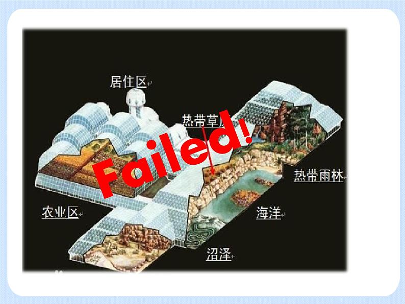 5.3《生态系统的稳定性——生态系统稳定性的特征》 课件第2页