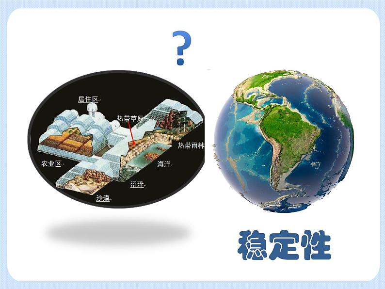 5.3《生态系统的稳定性——生态系统稳定性的特征》 课件第3页