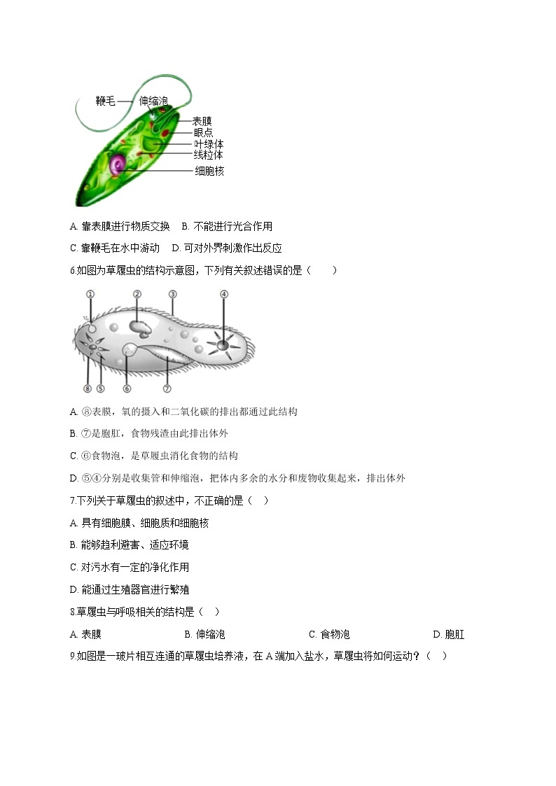 2.4.1《单细胞生物》 课件+练习02