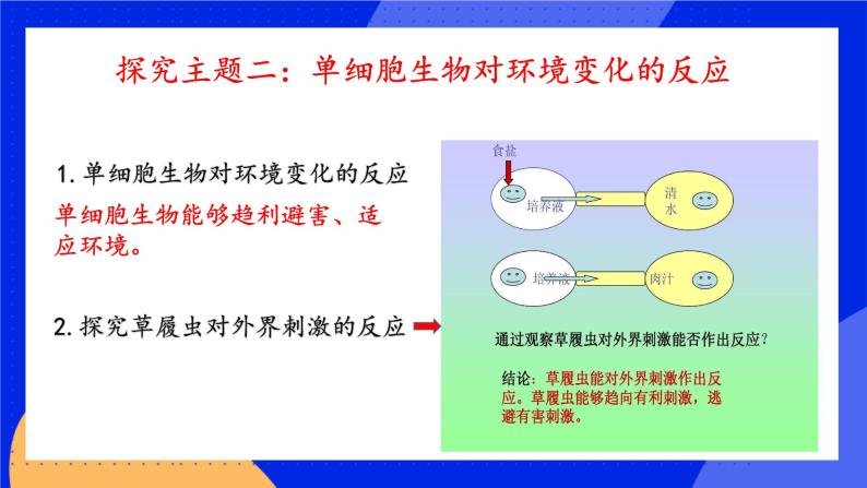 2.4.1《单细胞生物》 课件+练习08