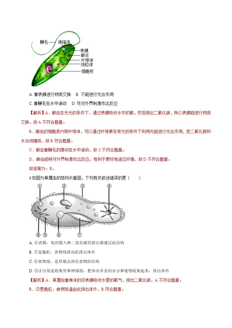 2.4.1《单细胞生物》 课件+练习03