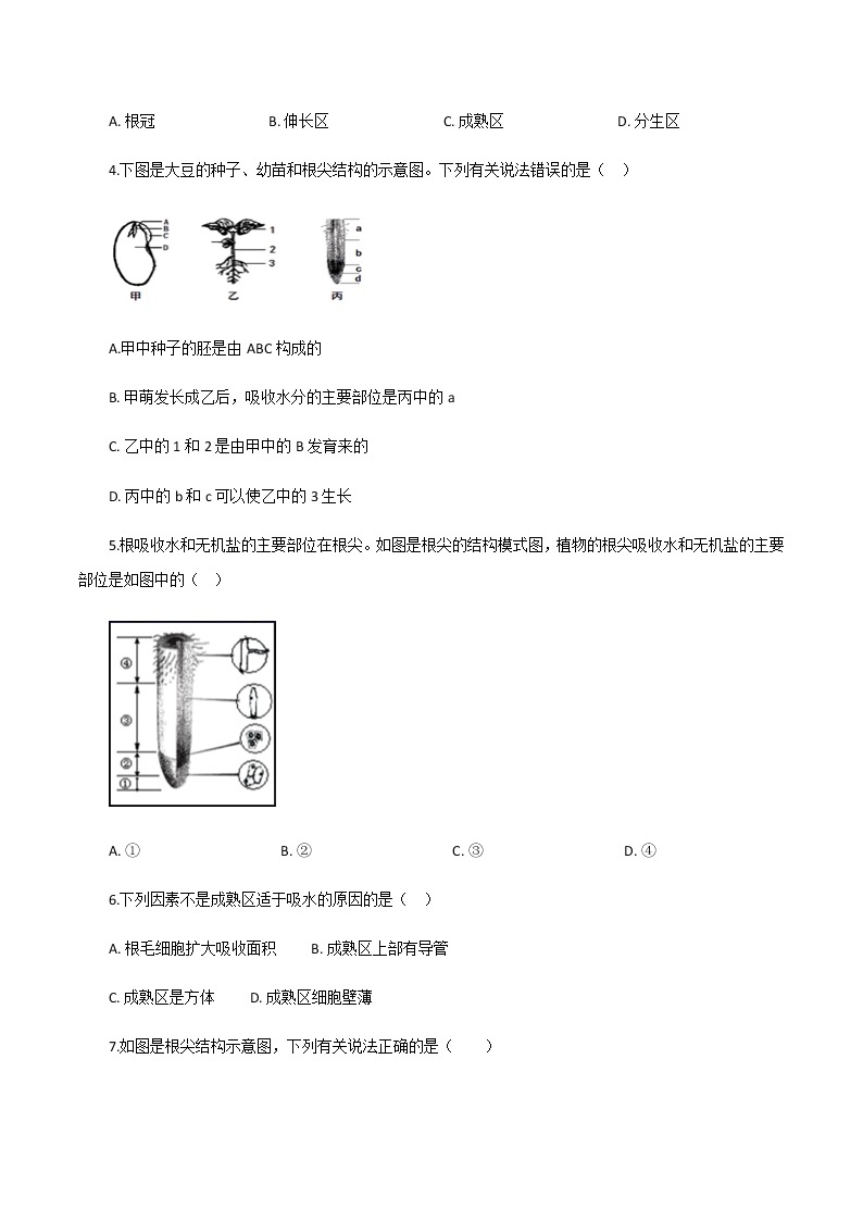 3.5.2《 植物根的生长》 课件+练习02