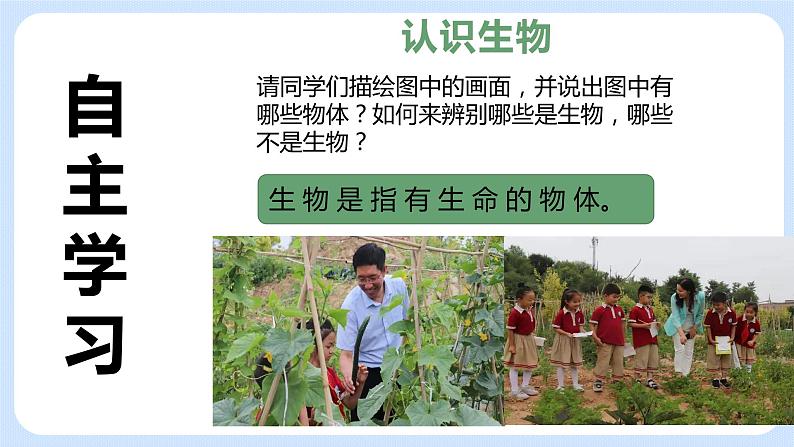 1.1《生物与生物学》课件第3页