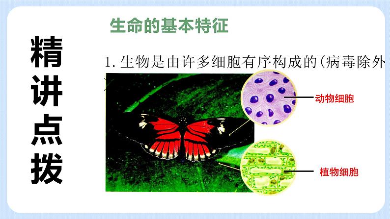 1.1《生物与生物学》课件第7页