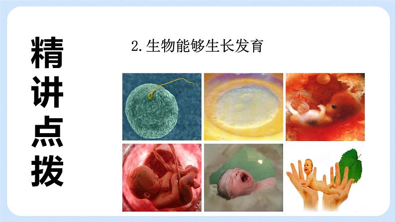 1.1《生物与生物学》课件第8页