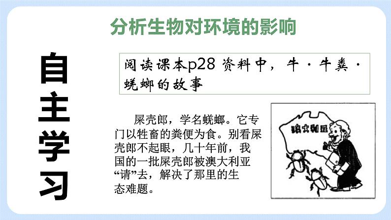 2.3《生物对环境的影响》课件第3页