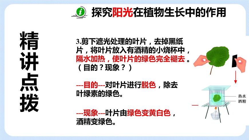 4.1《植物的光合作用》(第一課時)課件第6頁