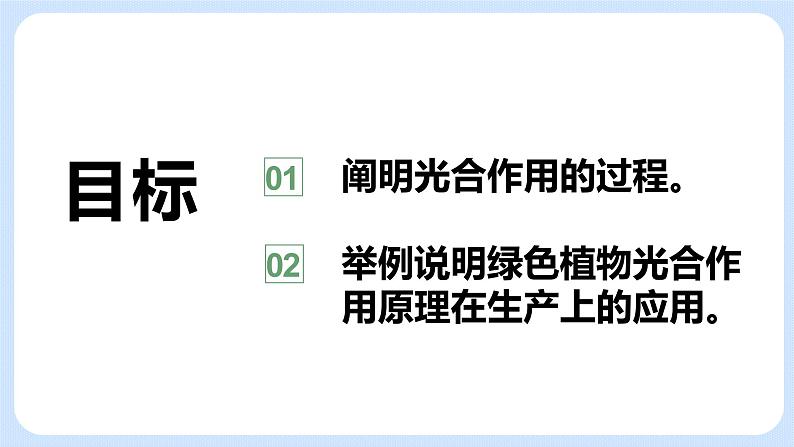 4.1《植物的光合作用》(第二课时)课件02