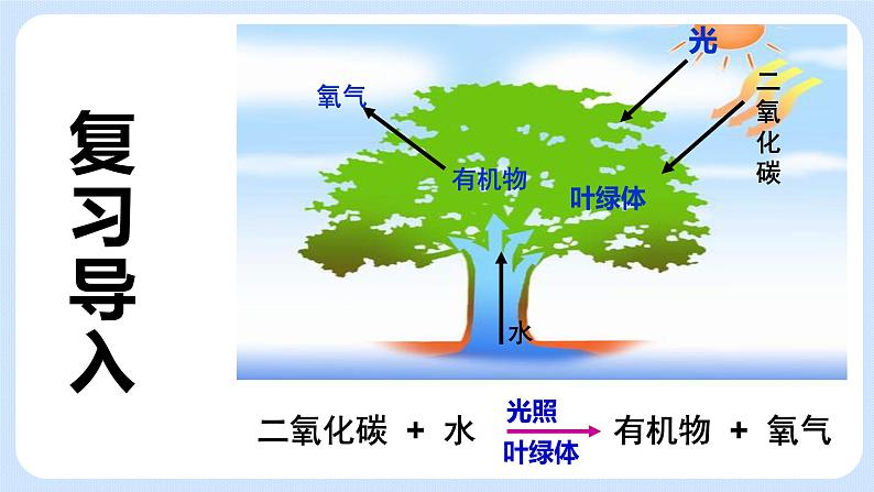 4.1《植物的光合作用》(第二课时)课件03