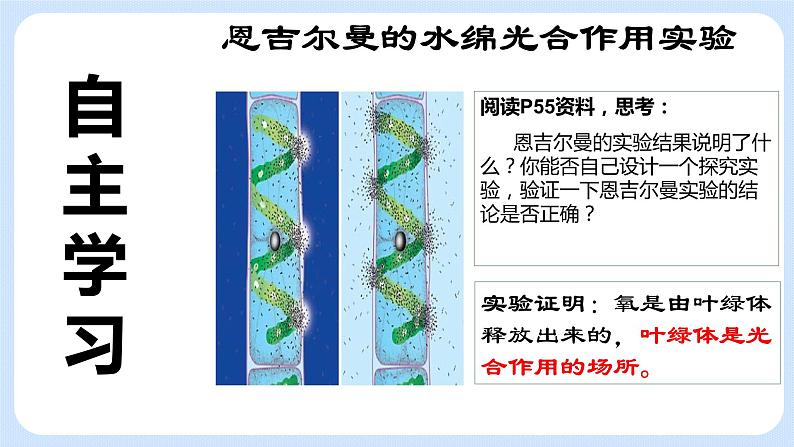 4.1《植物的光合作用》(第二课时)课件04