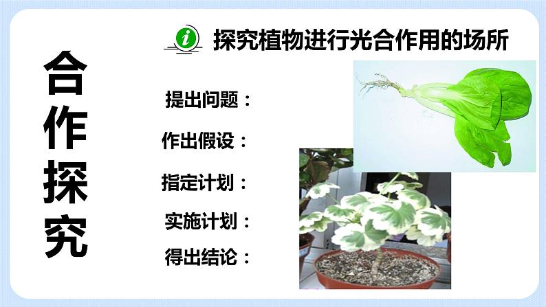 4.1《植物的光合作用》(第二课时)课件05