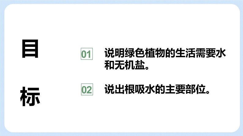 4.2《植物的生长需要水和无机盐》(第一课时)课件02