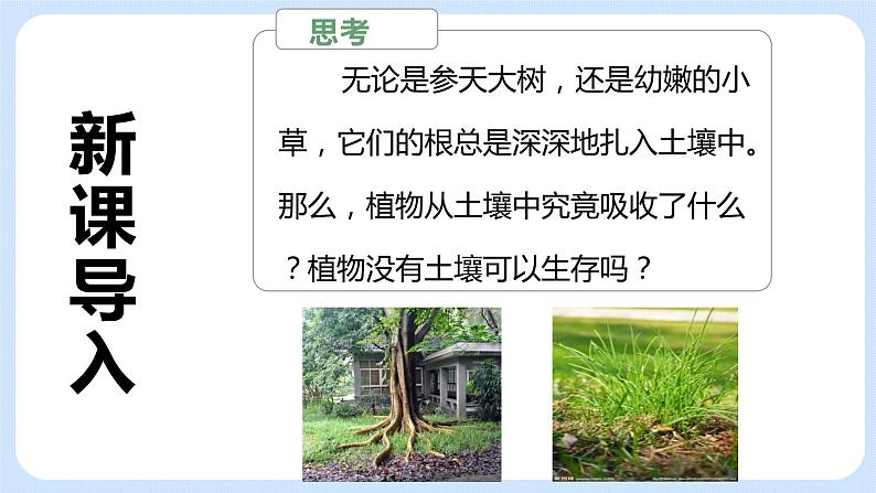 4.2《植物的生长需要水和无机盐》(第一课时)课件03