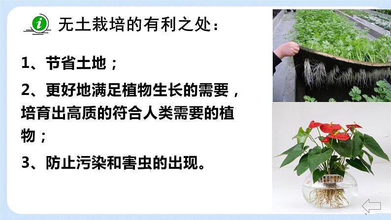 4.2《植物的生长需要水和无机盐》(第一课时)课件06