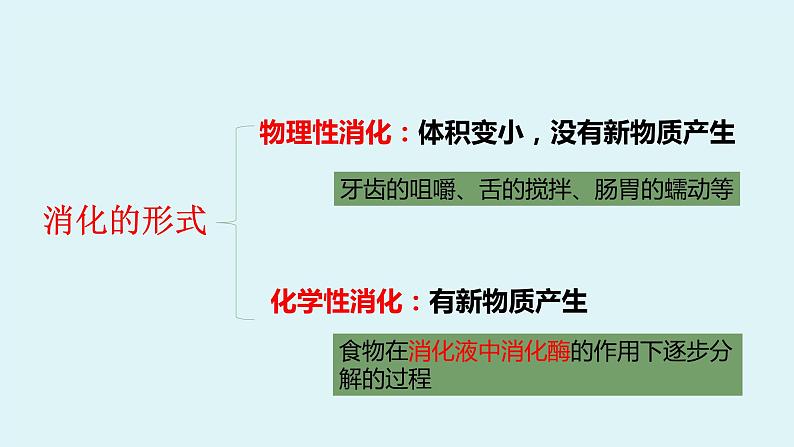 5.4《 人体对食物的消化吸收》课件第5页
