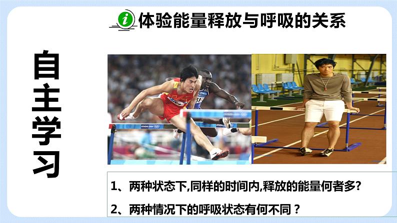 7.1《能量的释放和利用》 课件+素材02